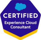 2021-03_Badge_SF-Certified_Experience-Cloud-Consultant_High-Res